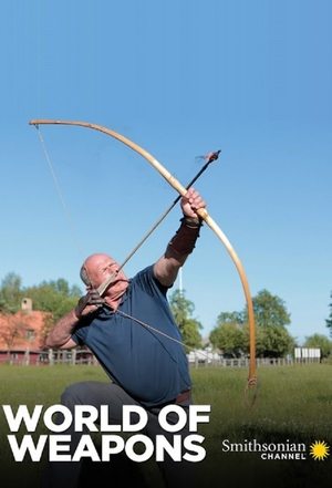 World of Weapons Poster