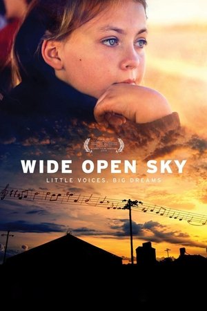 Wide Open Sky Poster