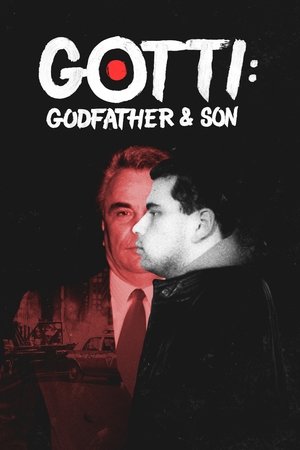 Gotti: Godfather and Son Poster