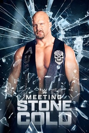 Meeting Stone Cold Poster