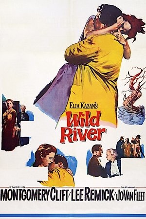 Wild River Poster