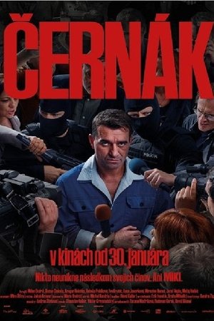 ČERNÁK Poster