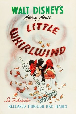The Little Whirlwind Poster