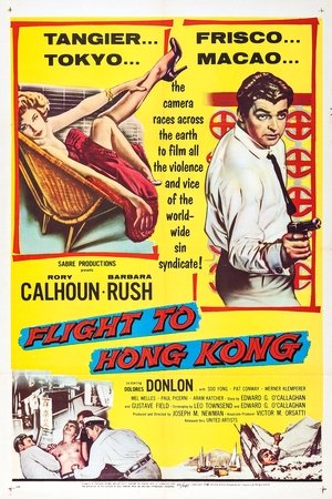 Flight to Hong Kong Poster
