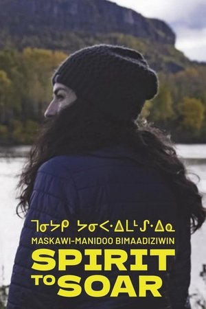 Spirit to Soar Poster