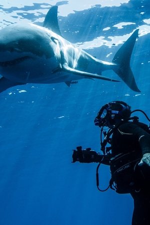 Swimming with Monsters Poster