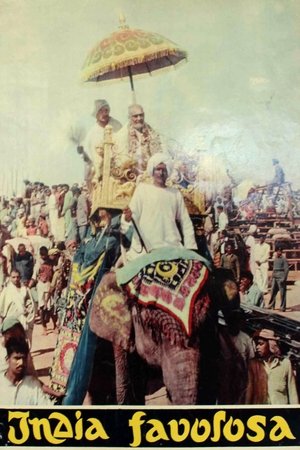 Fabulous India Poster