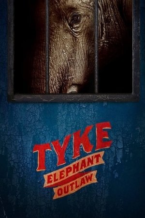Tyke Elephant Outlaw Poster