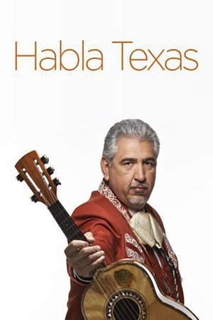 Habla Texas Poster