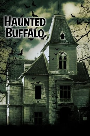 Haunted Buffalo Poster