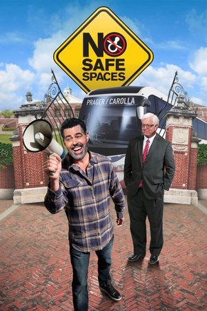 No Safe Spaces Poster