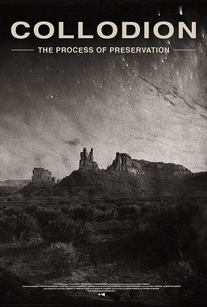 Collodion: The Process of Preservation Poster