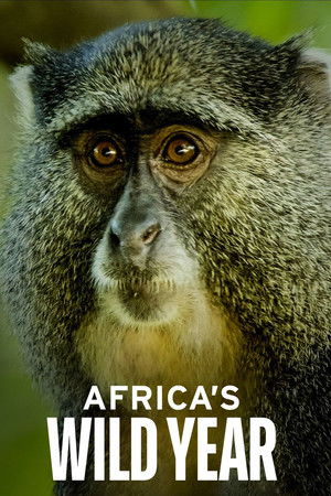 Africa's Wild Year Poster