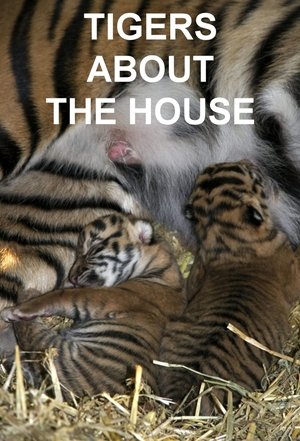 Tigers About the House Poster