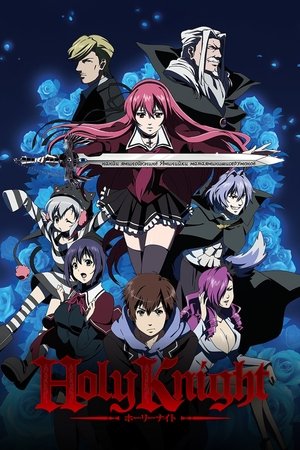 Holy Knight Poster
