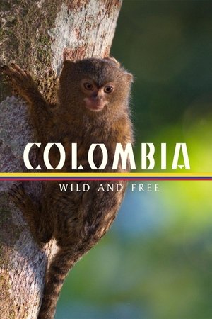 Colombia - Wild and Free Poster