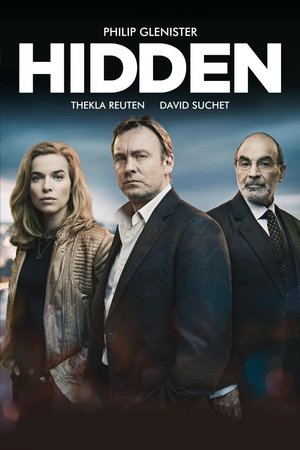 Hidden Poster