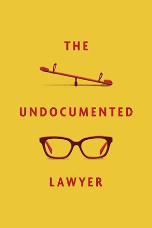 The Undocumented Lawyer Poster