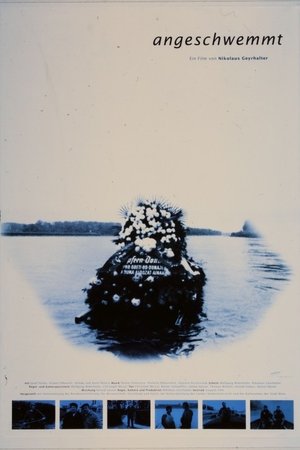 Washed Ashore Poster