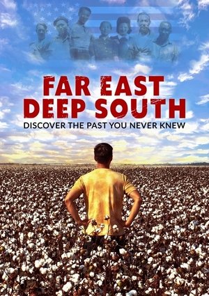 Far East Deep South Poster