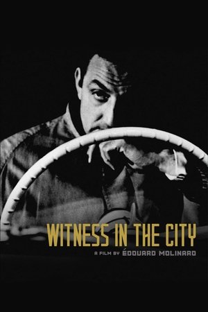 Witness in the City Poster