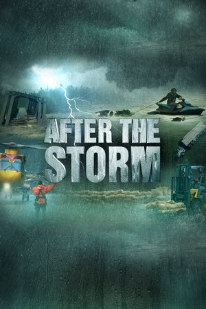 After the Storm Poster