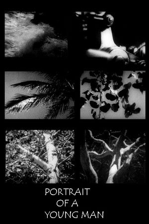 Portrait of a Young Man in Three Movements Poster