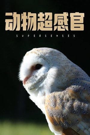 Supersenses Poster