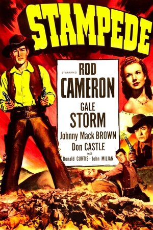 Stampede Poster