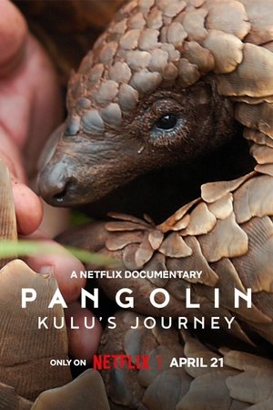 Pangolin: Kulu's Journey Poster