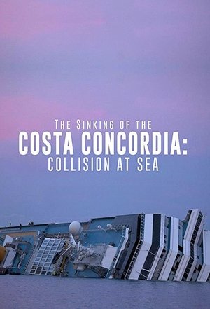 The Costa Concordia: Why She Sank Poster