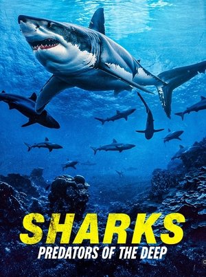 Sharks: Predators of the Deep Poster