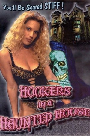 Hookers in a Haunted House Poster