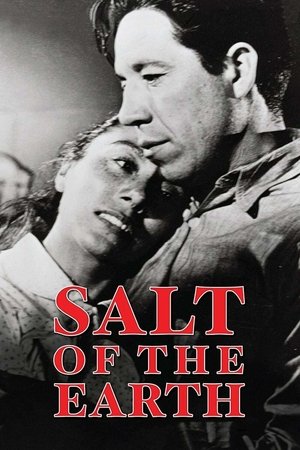 Salt of the Earth Poster